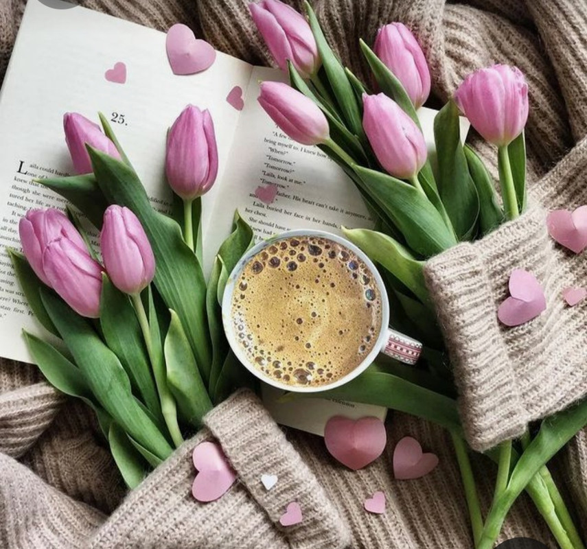 Screenshot_20230408_003315_Pinterest