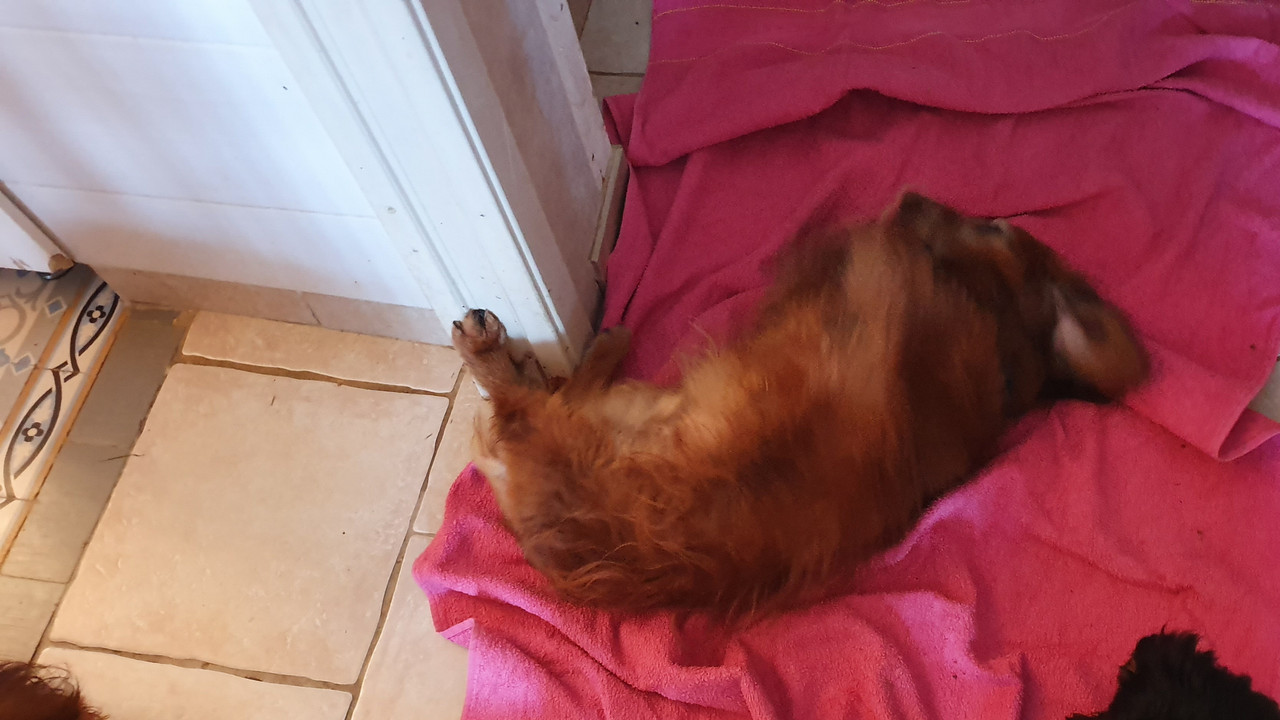 [Image: 20230414-210541.jpg]