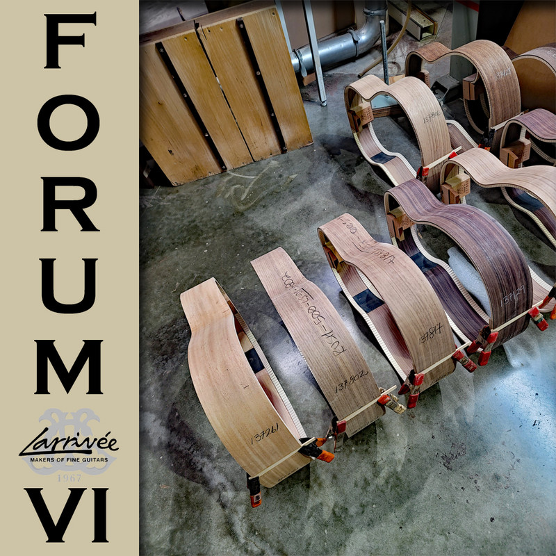 Larrive-Fourm-VI-6.jpg