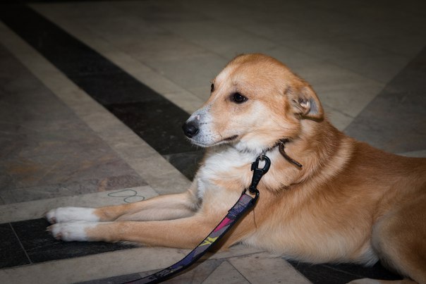 86FB3A6D-9994-4609-B6E5-7ED32A86640A