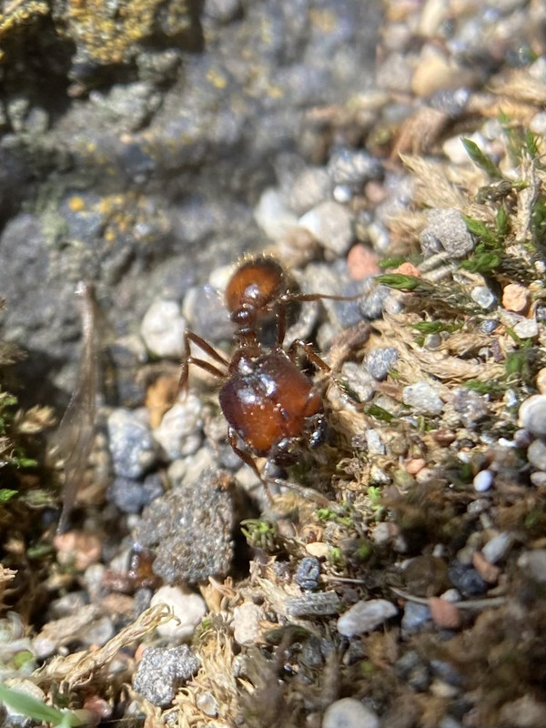 EDE8B355-ED04-4B76-ADAA-0ABC6C72AC4B