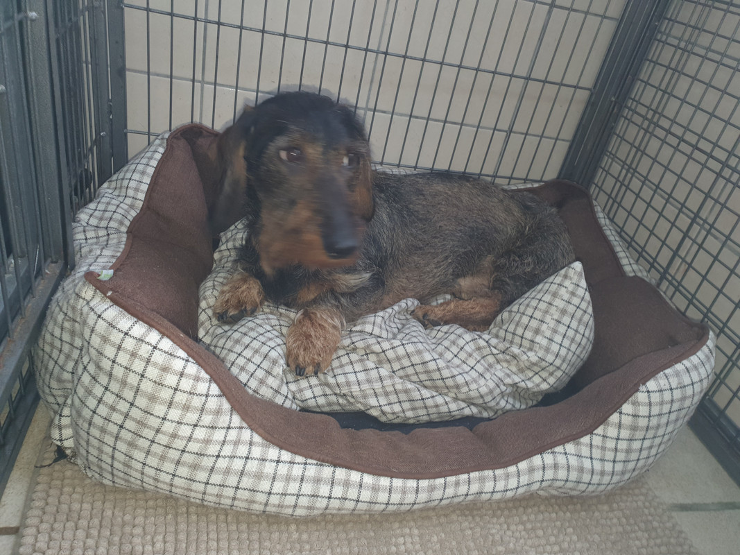 [Image: 20220128-124052.jpg]