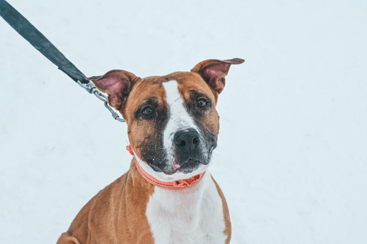 0DFD0F17-A3E5-43BE-AE5D-B07856AC8A10