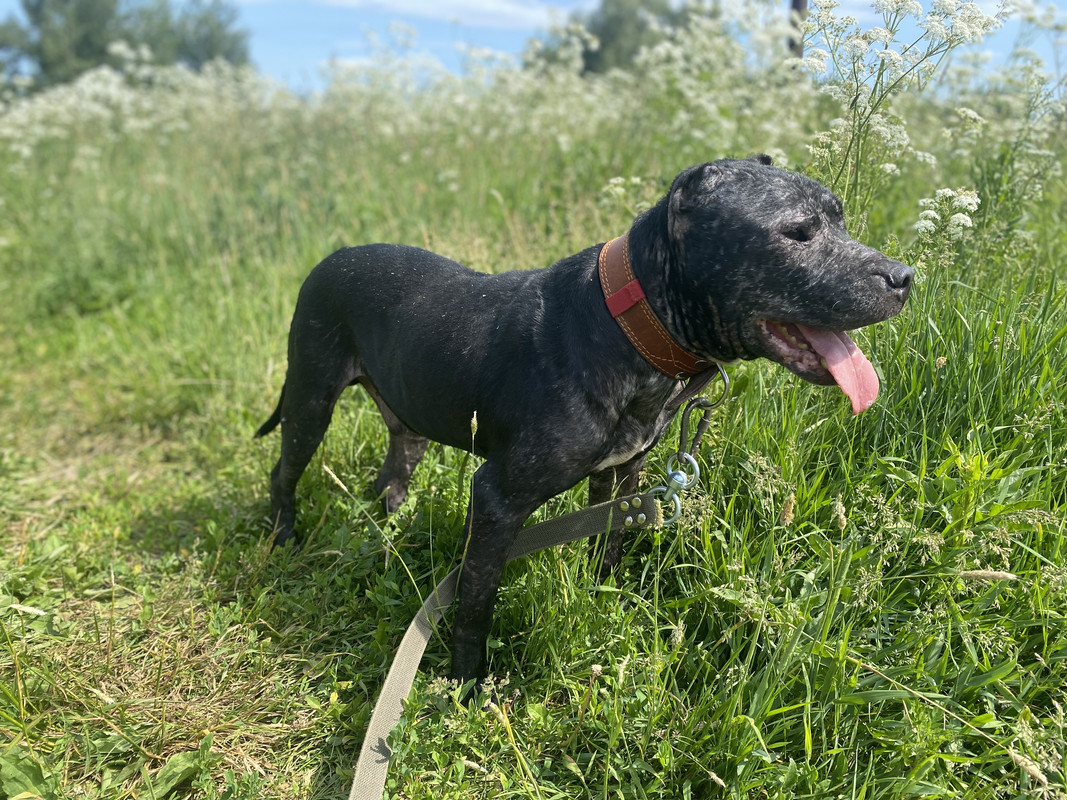 F198D5EC-8C65-45BD-B40B-0E388E7F1693