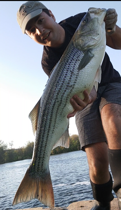 Screenshot_20240420-1849412