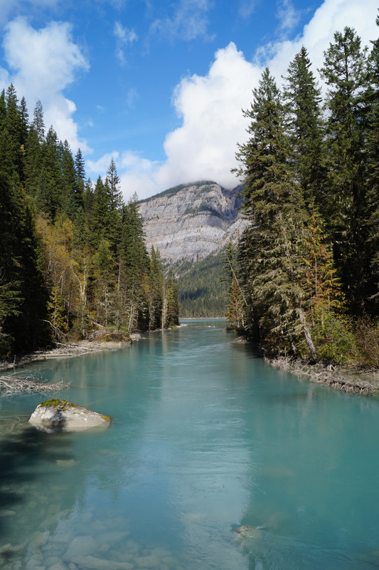 [Image: DSC07478.jpg]