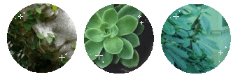 https://i.postimg.cc/9QG3G002/mato.gif