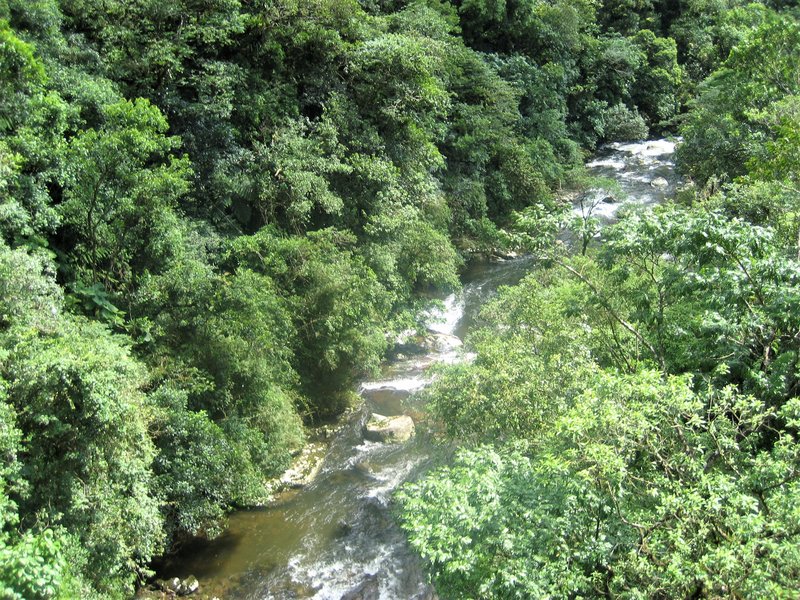 Tren Sierra Verde Exprés-22-2-2010 - Brasil y sus pueblos-2010 (19)