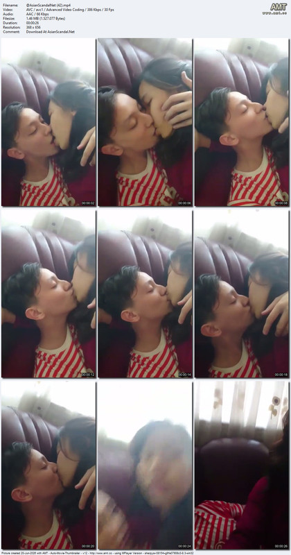 Asian Scandal Net (42) mp4