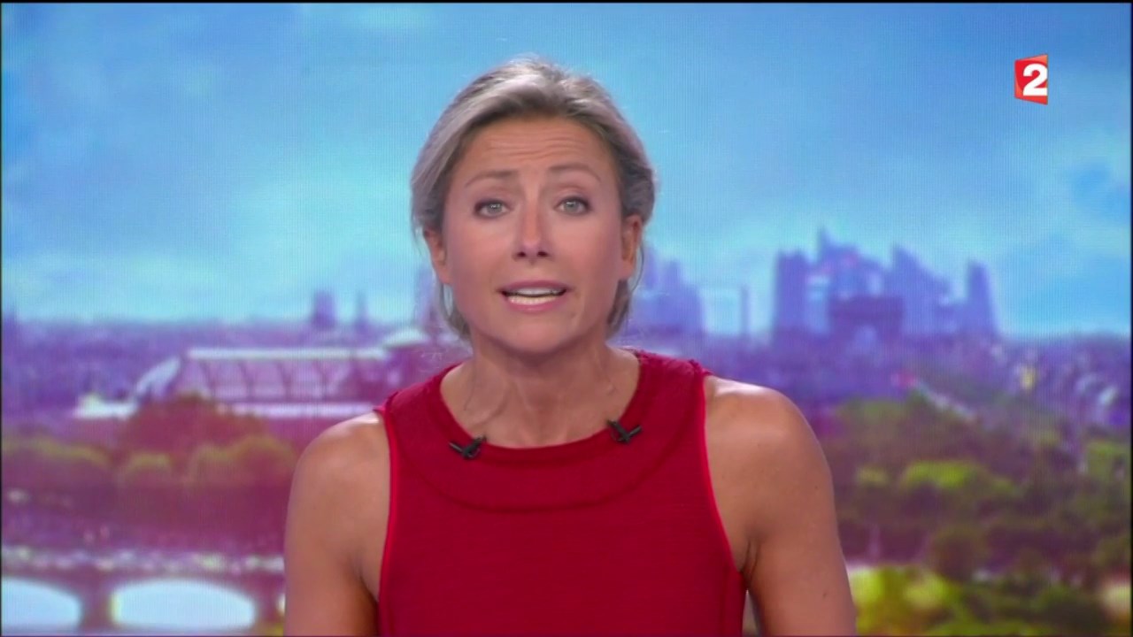 Anne-Sophie Lapix to edit 040917.mp4_snapshot_01