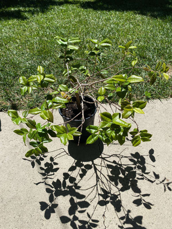 A2124225-706F-4788-B9DC-682361754E0A