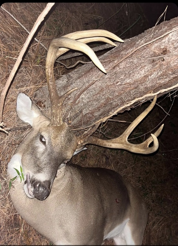 45E84FCA-BF74-4855-8D5E-CA1658C7D8F8