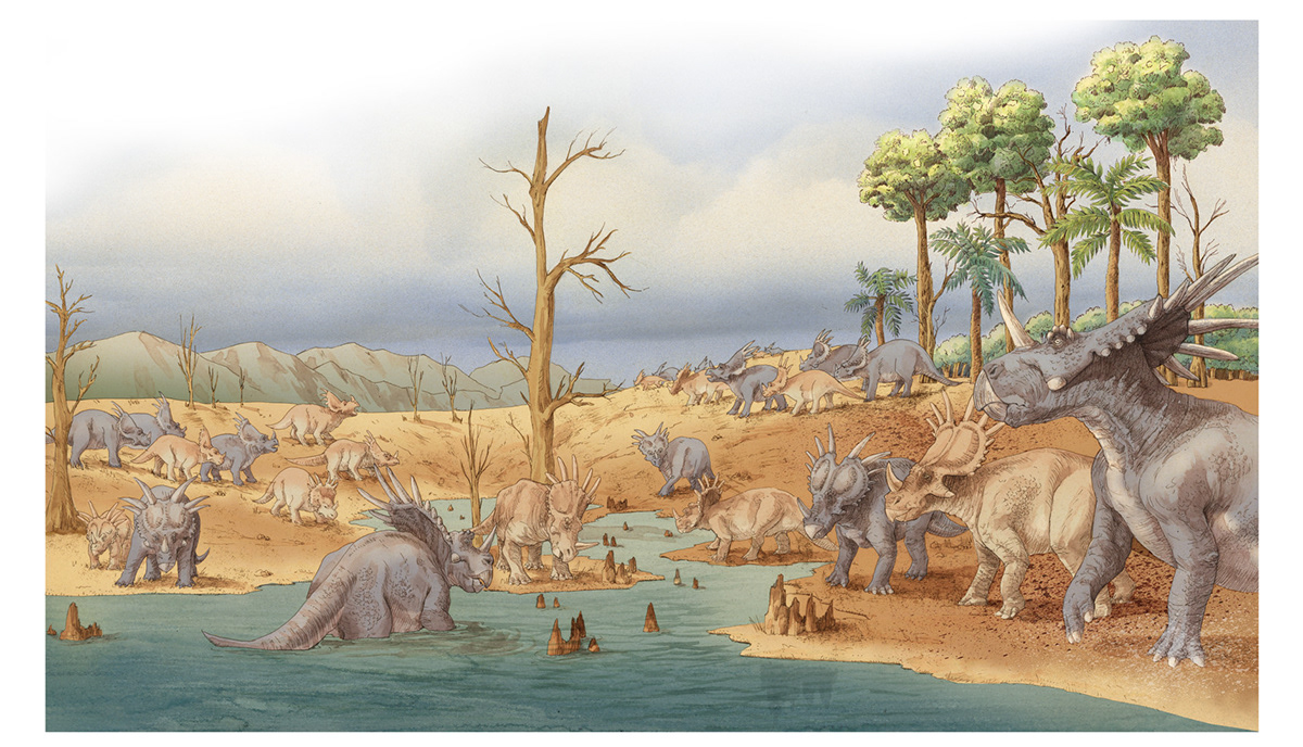 5a13695654061.56283804dfe02