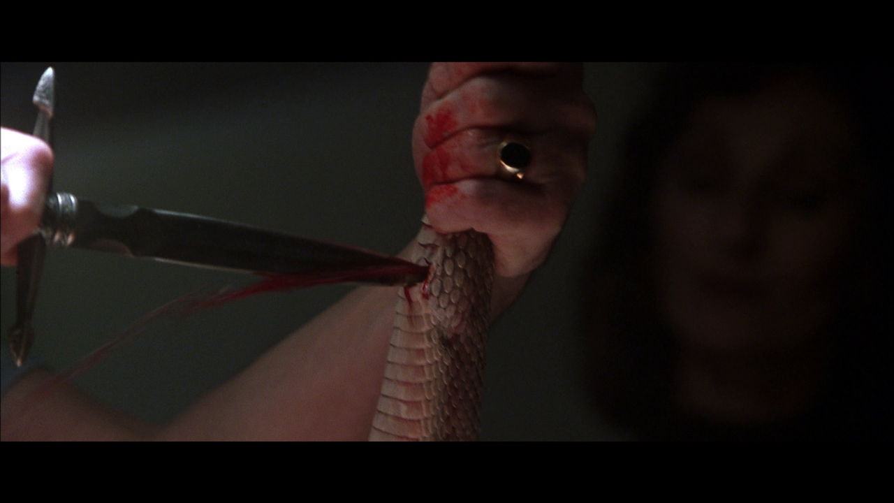 vlcsnap-2023-10-31-18h10m53s766