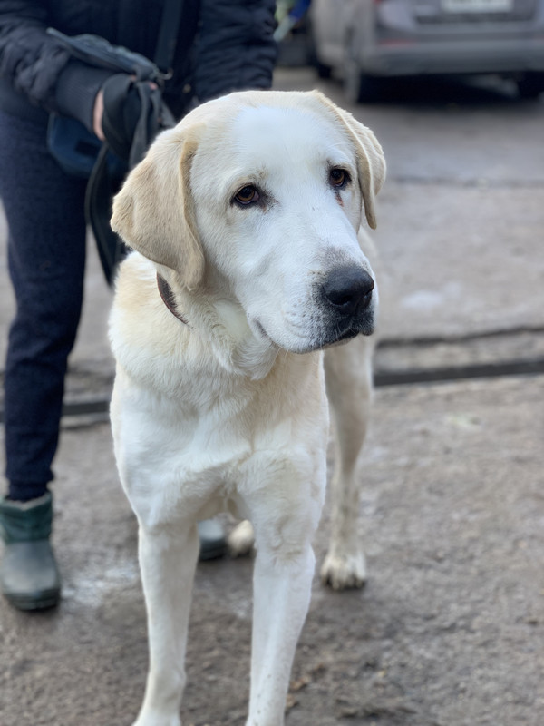 7A084C45-CFE2-4BBA-AD51-A233129DE74C