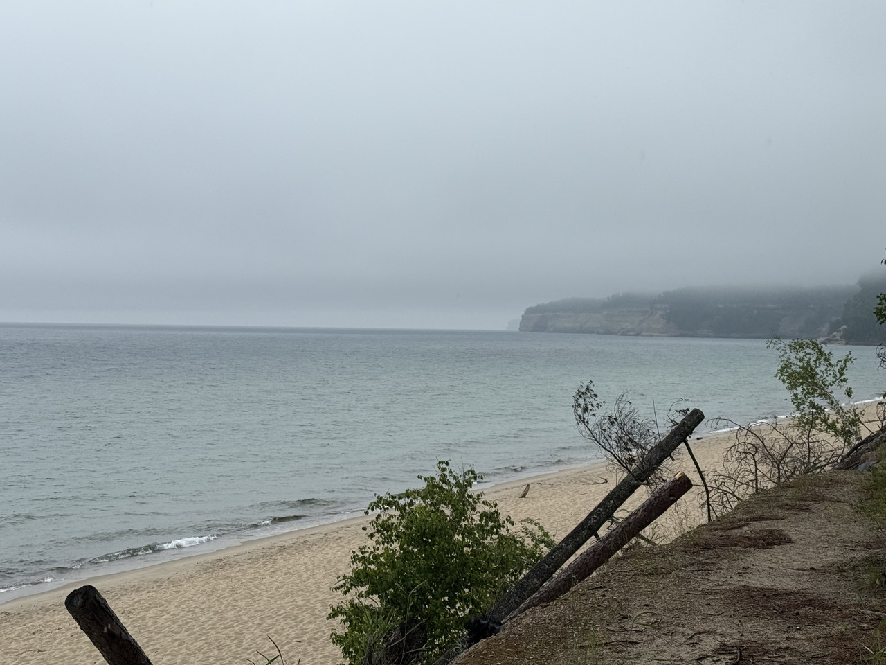 IMG-7806.jpg