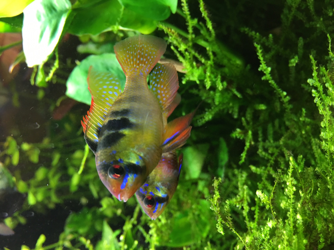 CBF137F9-FDF9-4800-92B6-AB506F41E13B