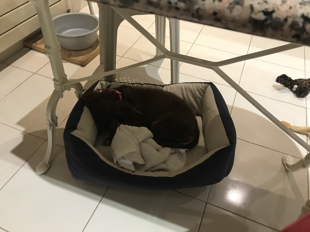 [Image: C4-CFA980-F1-EF-4333-92-EB-2-C5794-C111-A1.jpg]