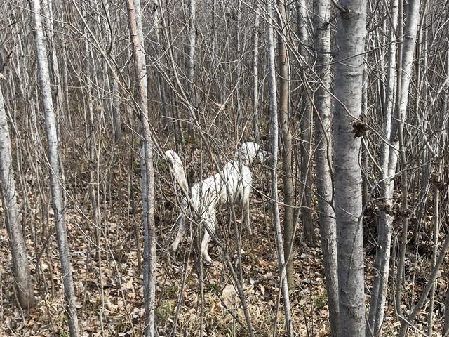 61CA83C3-CF45-417C-8CAD-825CD44DC1F7