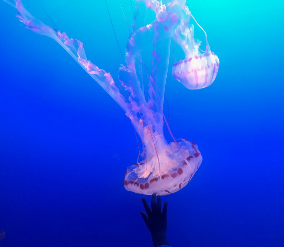 B3CB35DE-FCD3-42DB-B5F6-3AFDBD3144B2