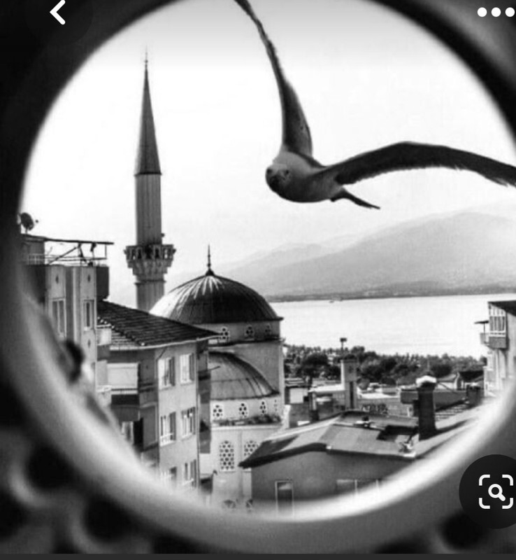 Screenshot_20230329_210941_Pinterest