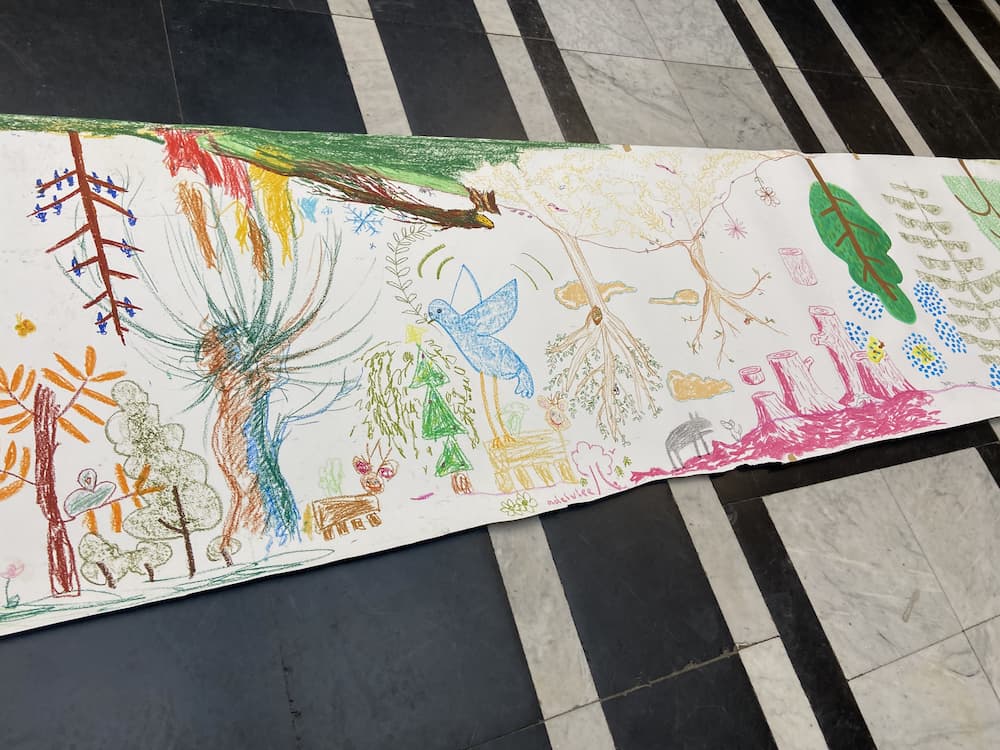 Scroll of drawings in a library
