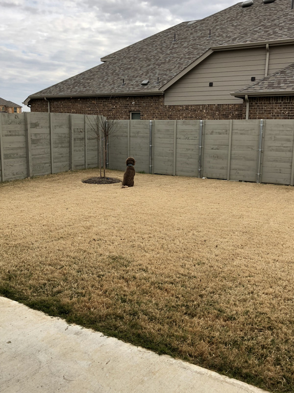 1E4AA9F2-DBF6-44B9-9BCD-37467F677AF5