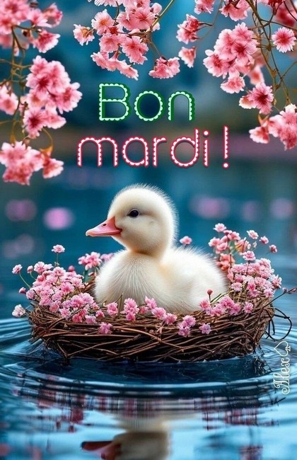 ffff73adb1830768058b089a0e9f3166