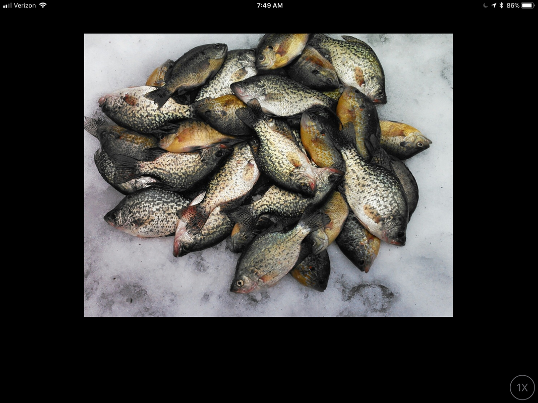 1B5279CC-ADF6-45E6-A453-B8BD1AA77C19