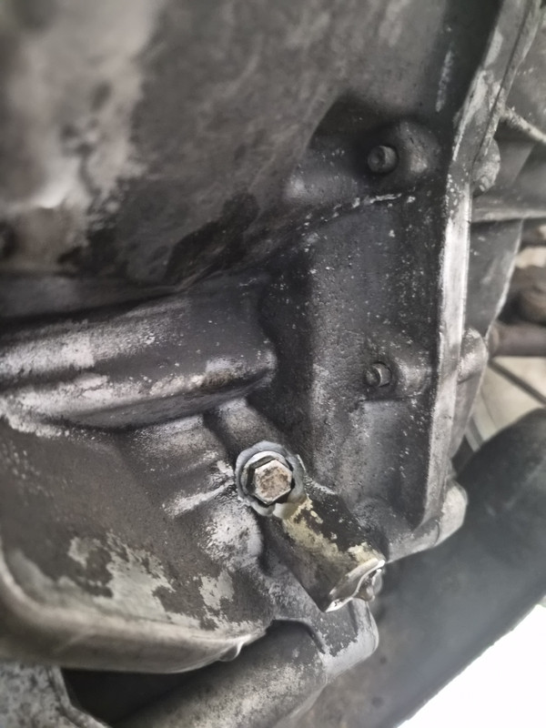 20250811_190745_resized