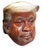 692773-D2-AF9-C-441-A-882-B-5-A6-BD0576807.png