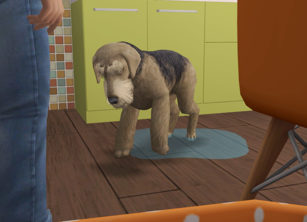 Sims2-EP9-RPC-2024-09-24-19-16-43-91