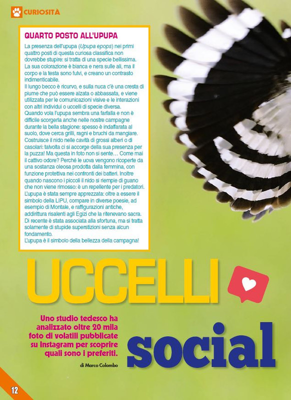 Foc Wil - Apr 2023 (1)