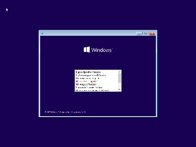 Windows 10 Pro 20H2 10.0.19042.844 With Office 2019 Pro Plus Preactivated February 2021