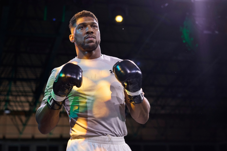 Джошуа за ММА бойците: В UFC ще ми сритат задника, но в бокса ще ги отвея