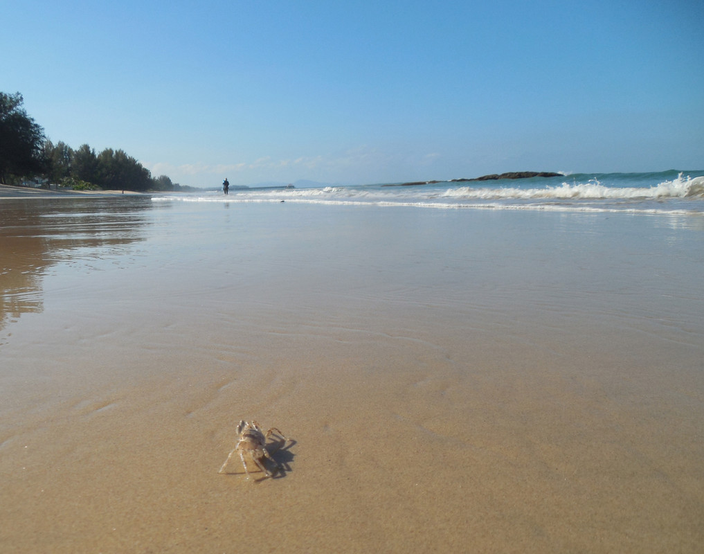 UkmtbePA008FDjtaqceizplq9AKL26Zx3fAGsrKgOIPC8EFEUzn0K6CWcUGHzdtlGsjiIFQK