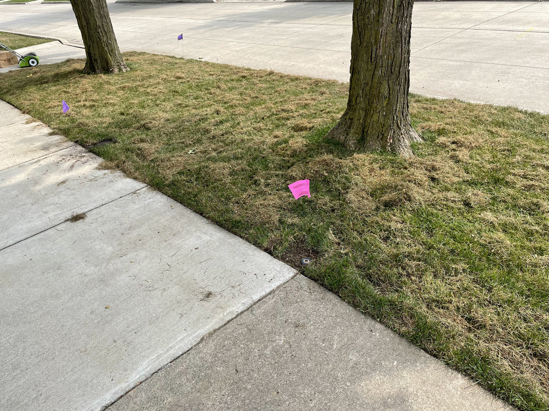 B45D4DBB-27F0-4209-AA05-1572B8E30303