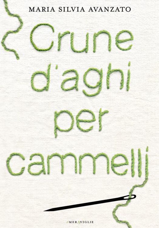 Maria Silvia Avanzato – Crune d’aghi per cammelli (2013)