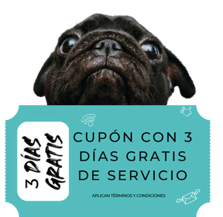 PilloFon - 3 días GRATIS por encuesta para Usuarios activos