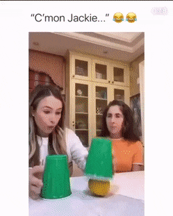 daily-gifdump-3393-27.gif