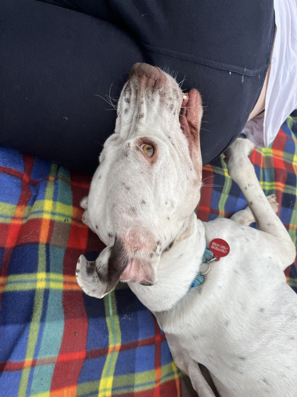 59831CE9-5A9A-4A03-8CDA-EA6EF33496EC