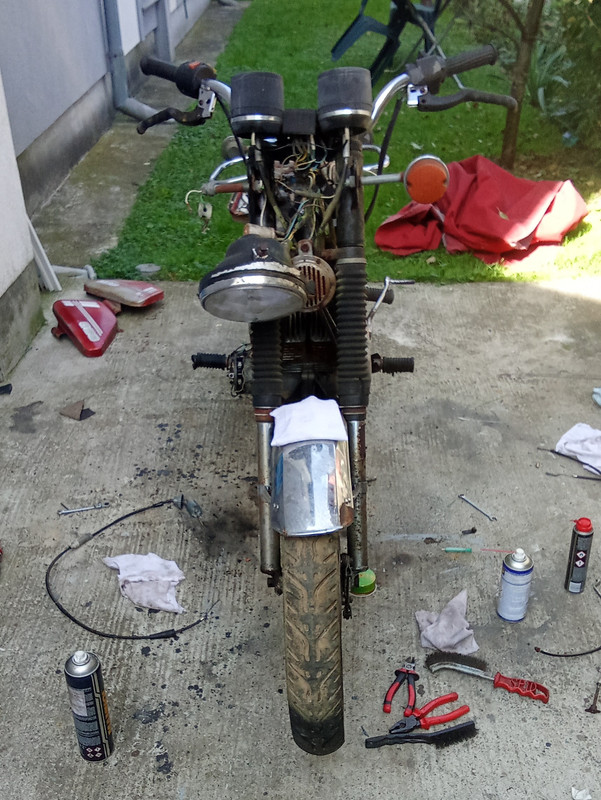 IMG_20241001_125813 (copy)