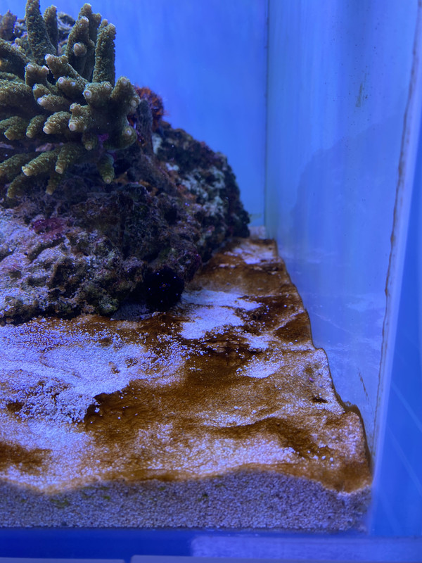 761823B4-4338-4AF8-97C4-067CDB27C1FF