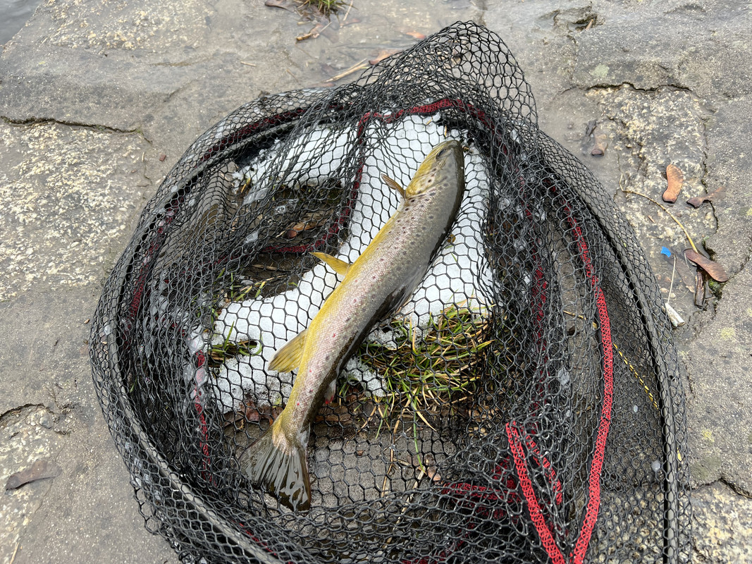 9356C260-90AD-4506-BB1F-001E20293F57