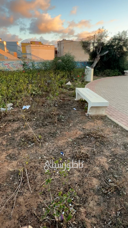 ALALI-00-03-24-24-Still019