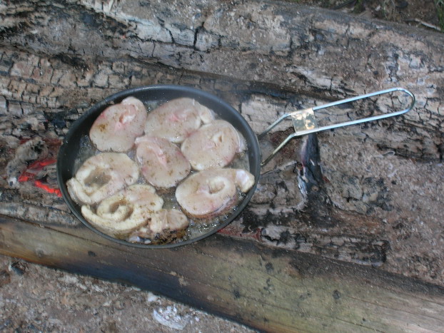 Рыбалка - самый дорогой ресторан))