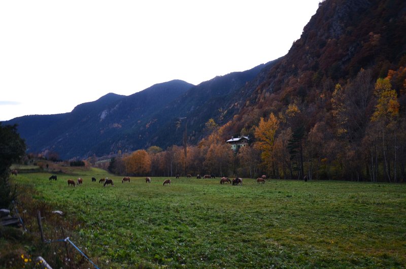 Ruta del Hierro-31-10-2015 - Andorra y sus pueblos-2015 (56)