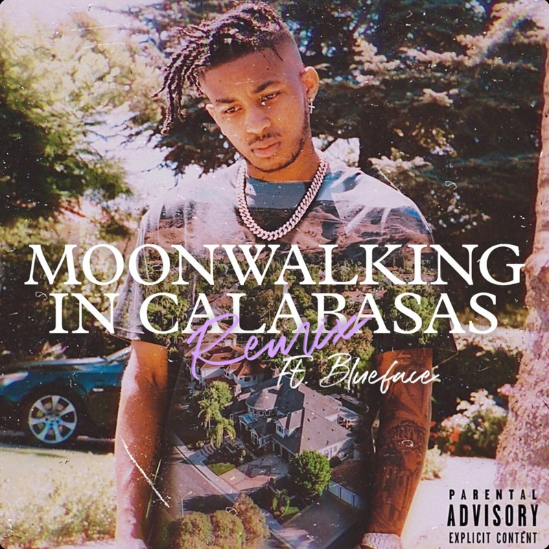 Cover of Moonwalking in Calabasas