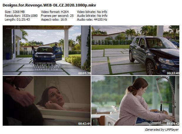 Projekt pomsty / Designs for Revenge (2020)