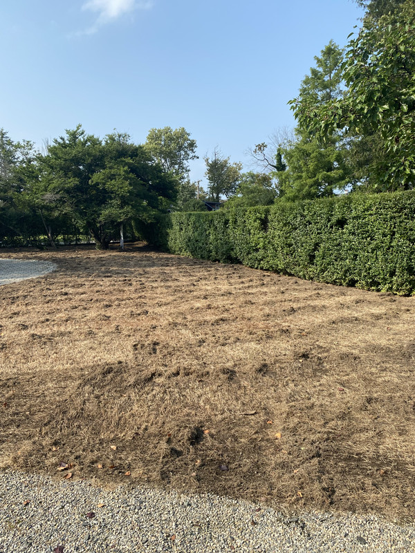 4735F07D-2EE0-4020-A3F4-8D5E0635AFDC